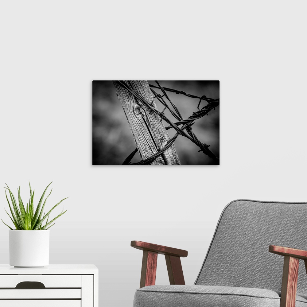 A modern room featuring Close-up black and white photograph of a wood post with barbwire wrapped around it.