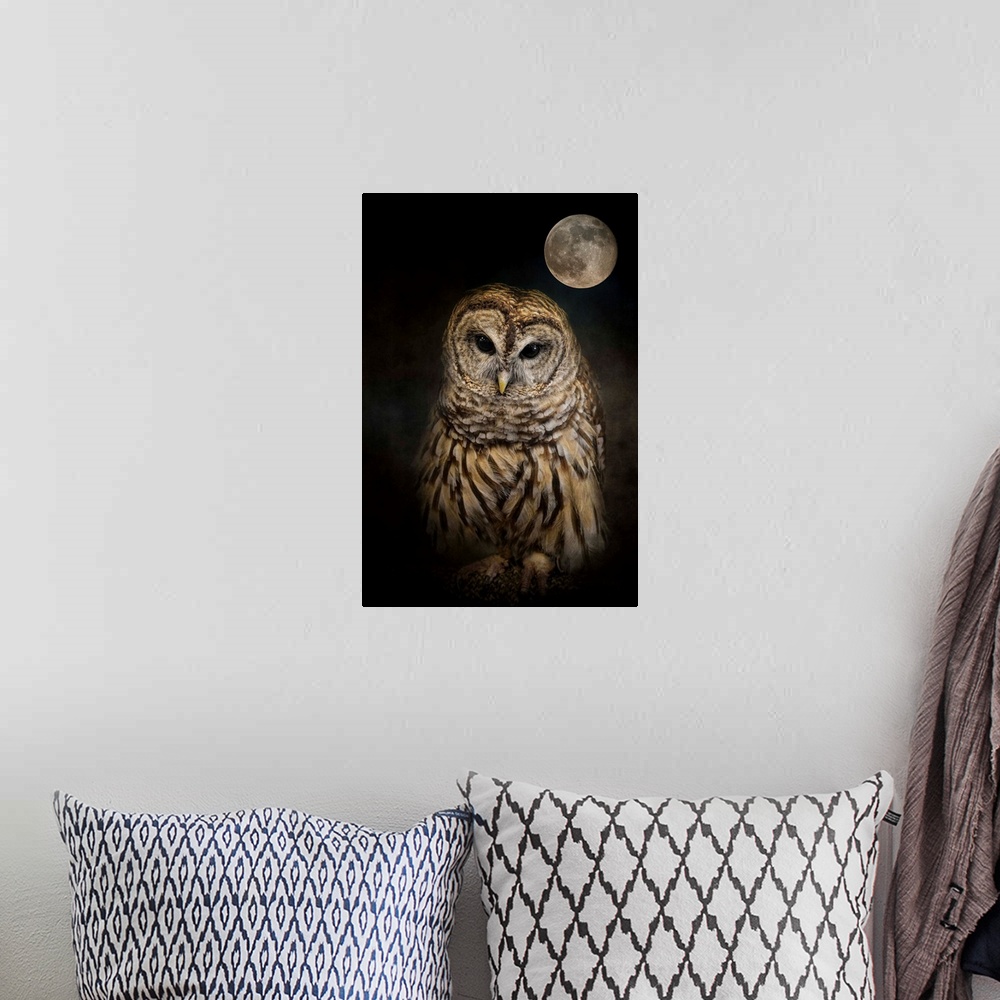 A bohemian room featuring A mysterious Barred Owl under a full moon.