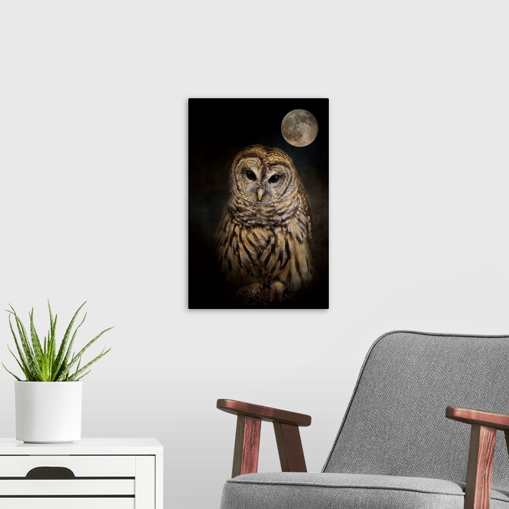A modern room featuring A mysterious Barred Owl under a full moon.