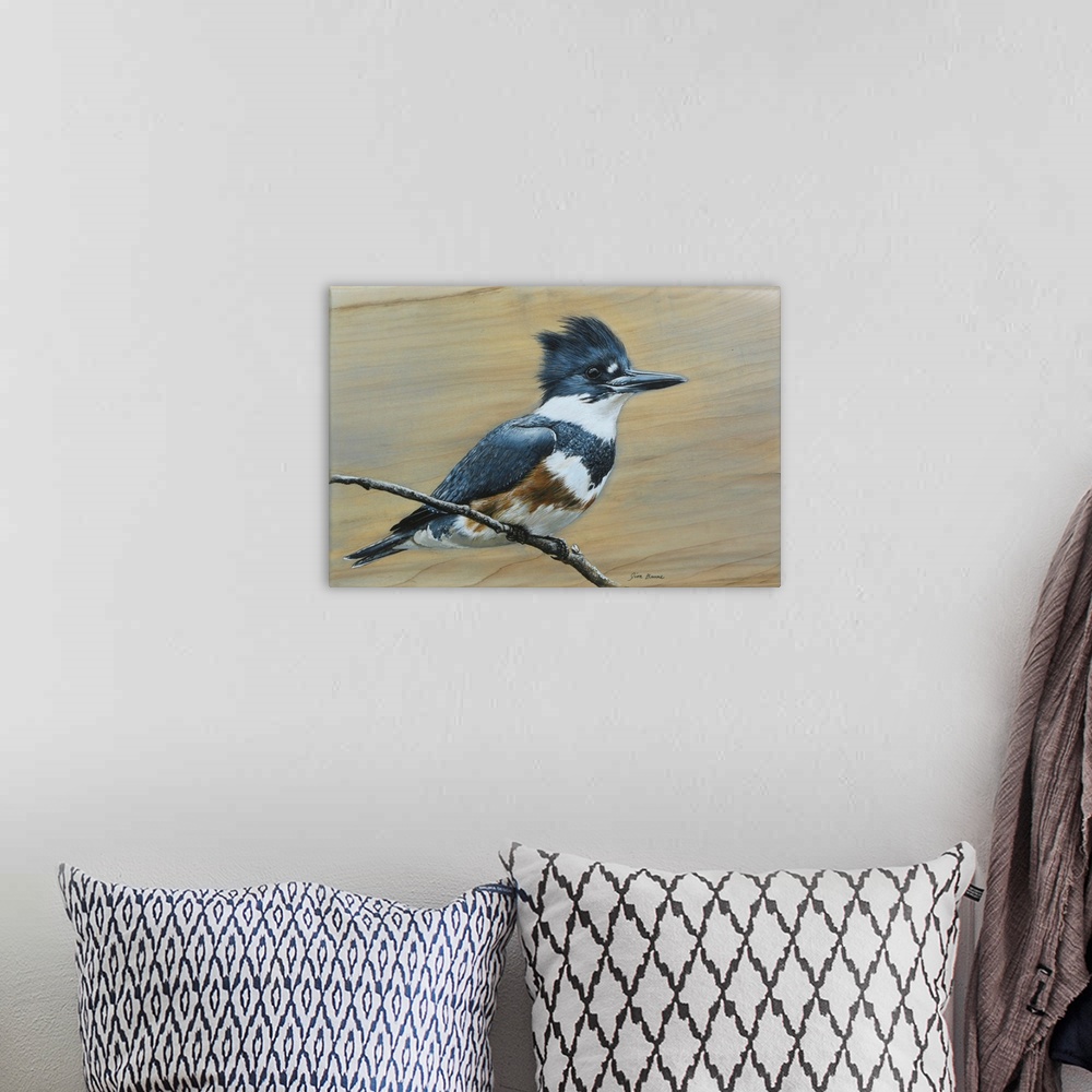 A bohemian room featuring Belted Kingfisher