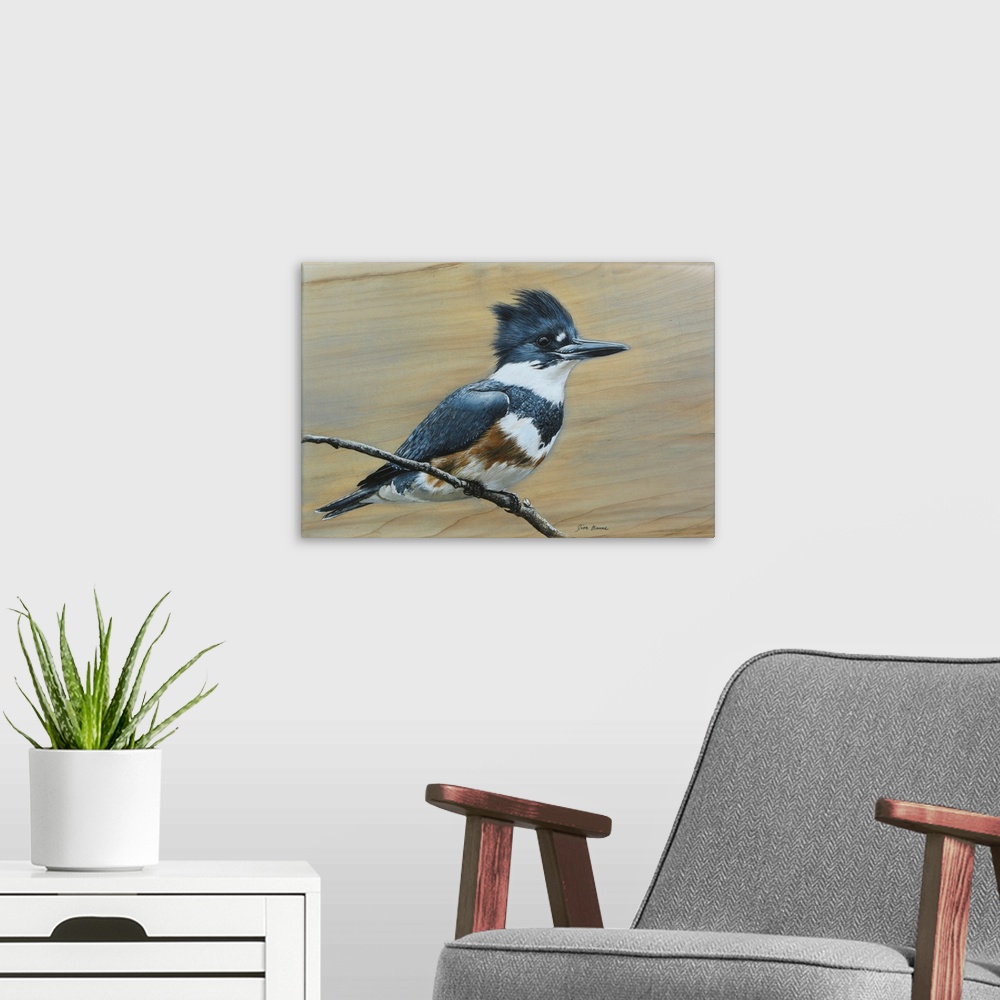 A modern room featuring Belted Kingfisher