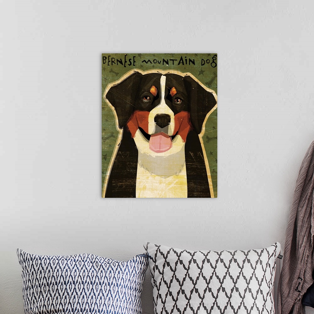 A bohemian room featuring Bernese Mountain Dog