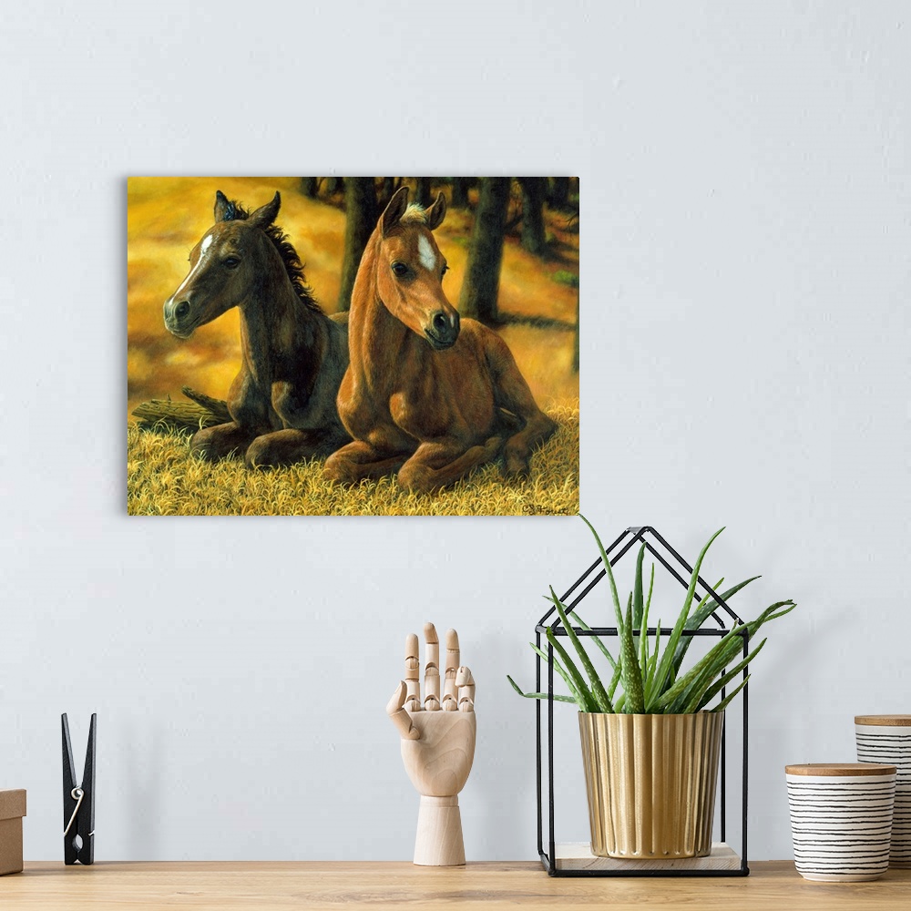 A bohemian room featuring Two Baby Horsesfoal, colt