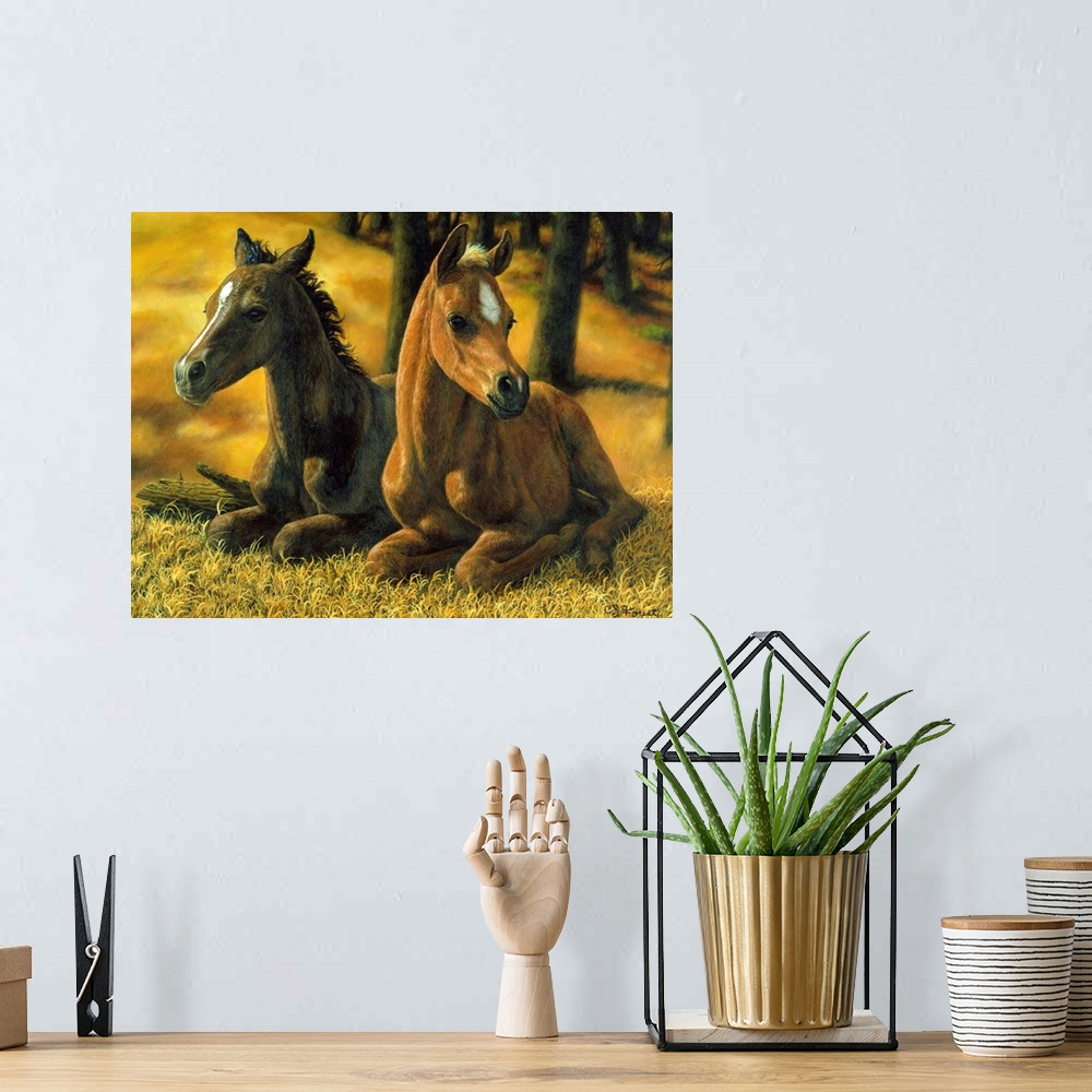 A bohemian room featuring Two Baby Horsesfoal, colt