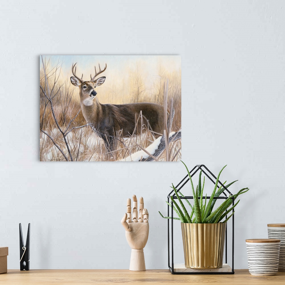 A bohemian room featuring A large deer buck looking over the snowy landscape.