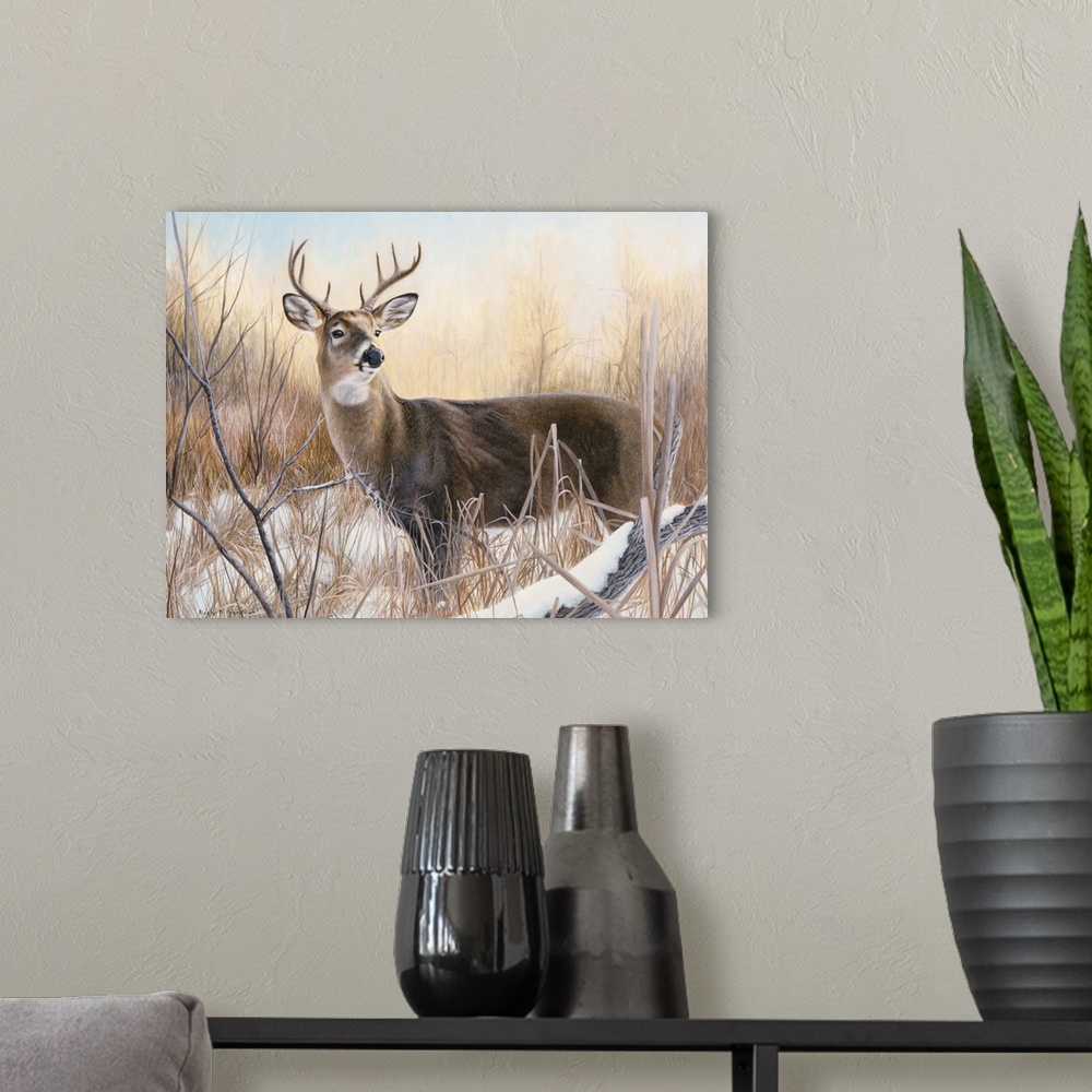 A modern room featuring A large deer buck looking over the snowy landscape.