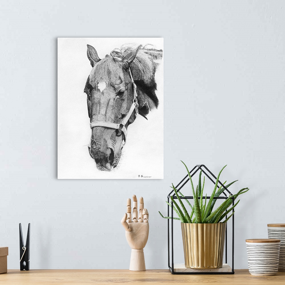 A bohemian room featuring Black and white portrait of a horse with a bridle.
