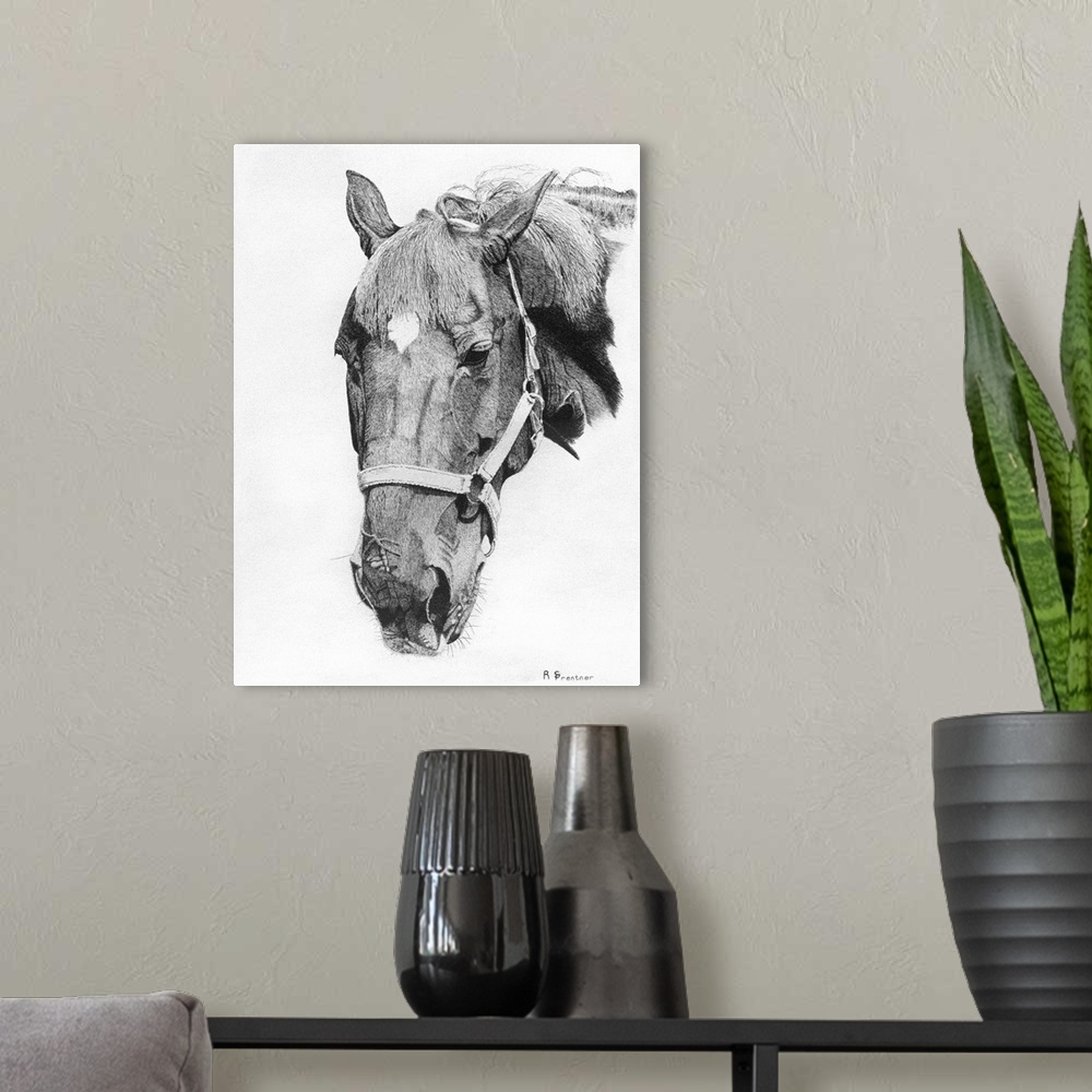 A modern room featuring Black and white portrait of a horse with a bridle.