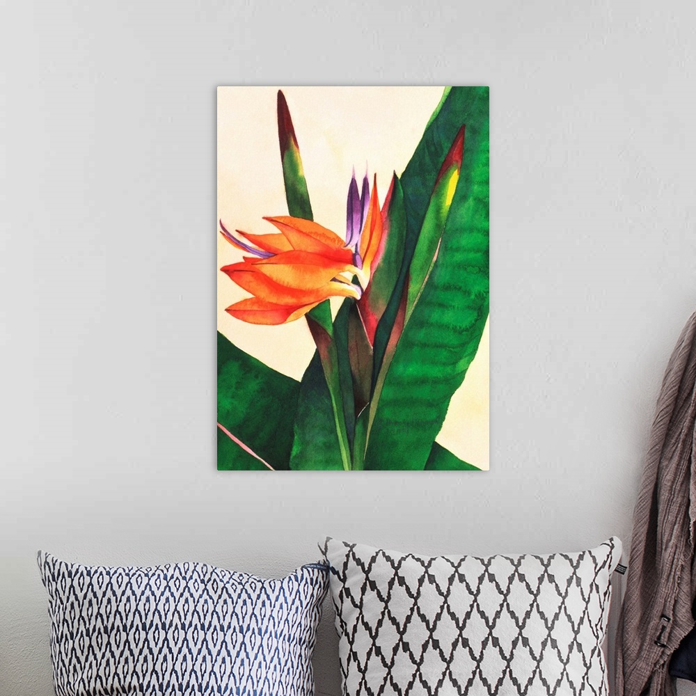 A bohemian room featuring Bird Of Paradise