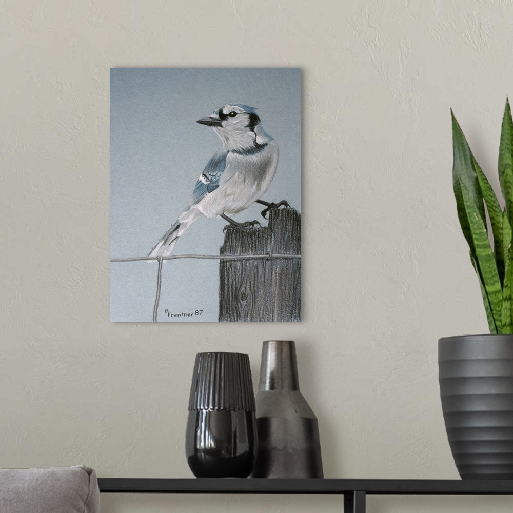 A modern room featuring A blue-jay perched on a post