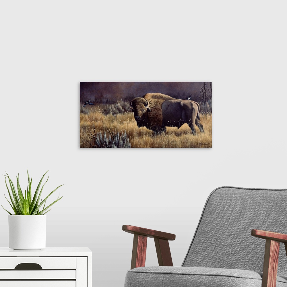 A modern room featuring Buffalo with a bird on its back standing in a field.
