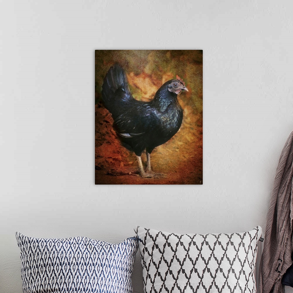 A bohemian room featuring A large black rooster.