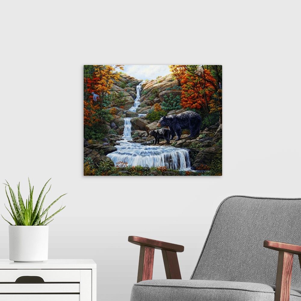 A modern room featuring Black bear, waterfall, forest