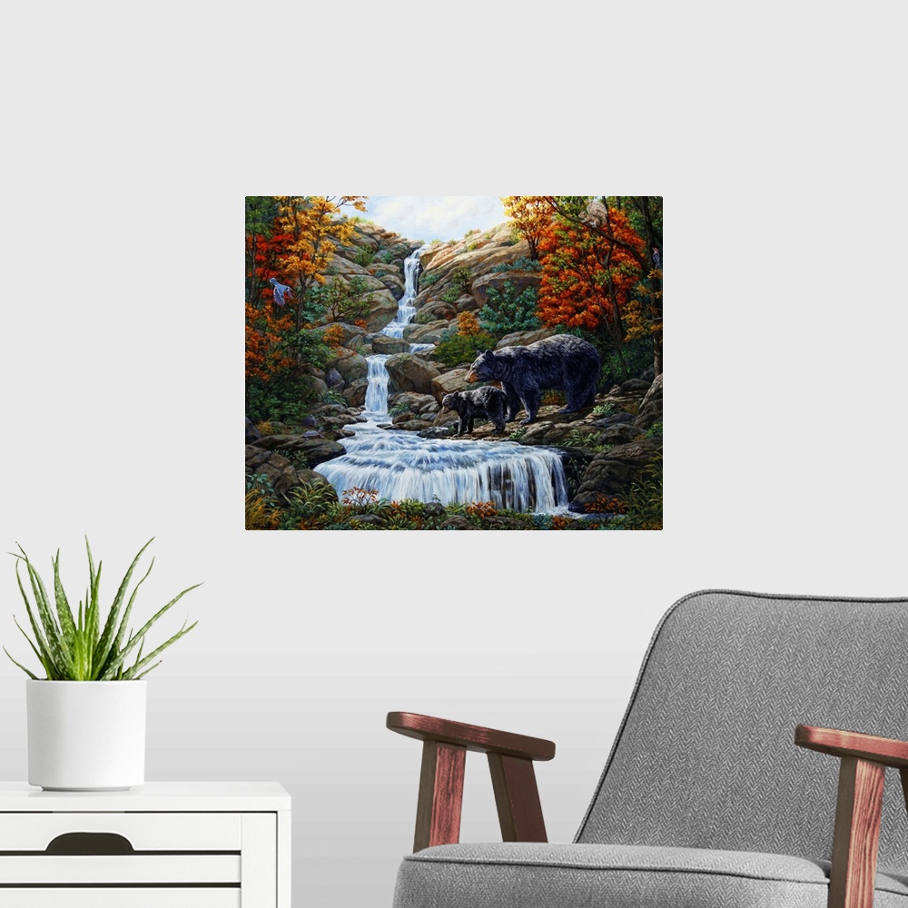 A modern room featuring Black bear, waterfall, forest