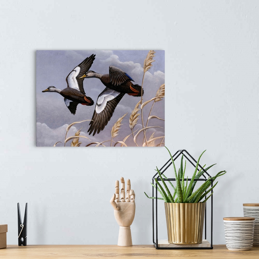 A bohemian room featuring Two black ducks flying over a field.