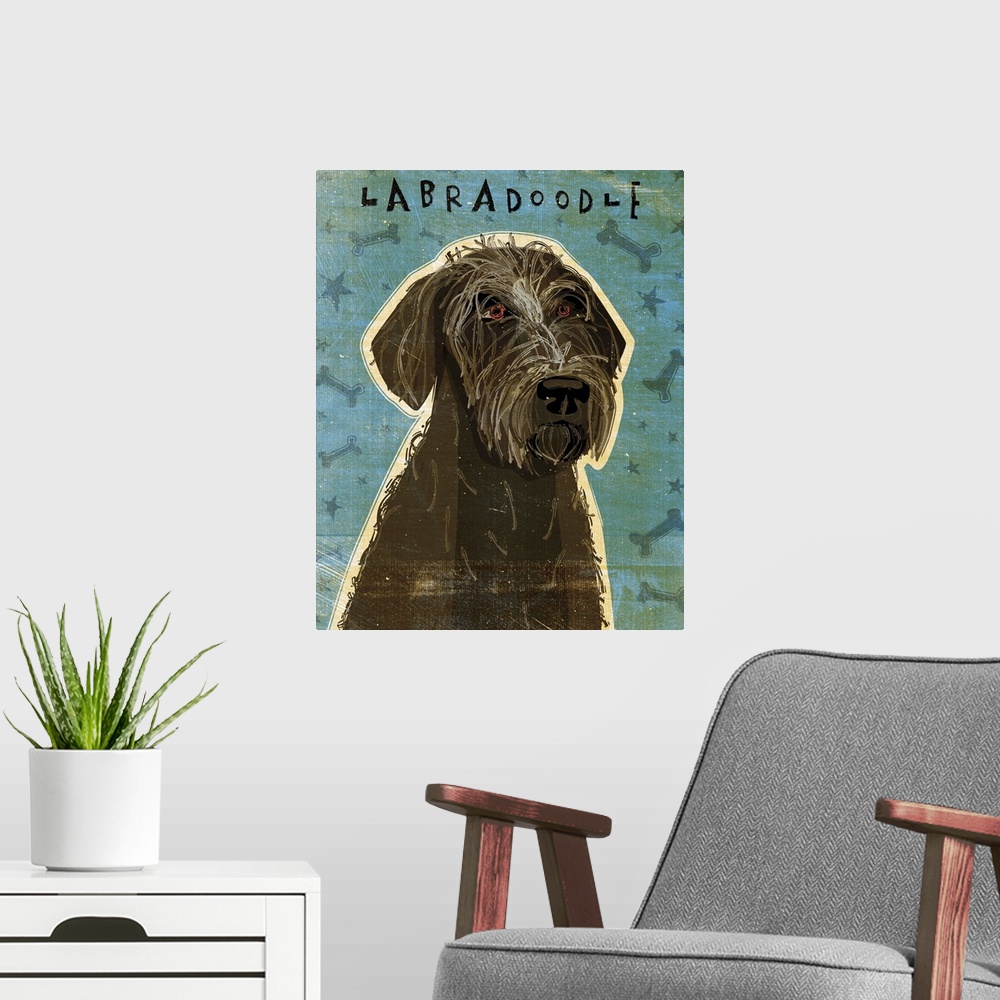 A modern room featuring Black Labradoodle
