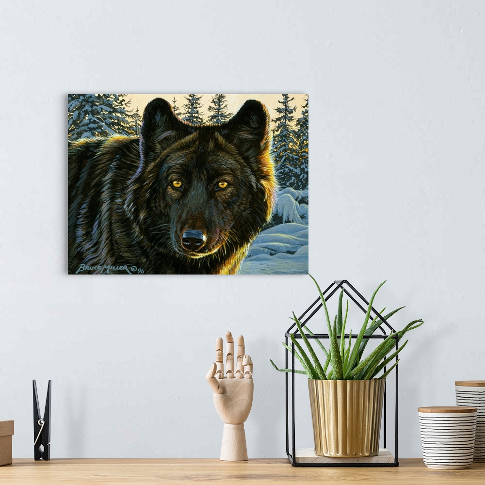 A bohemian room featuring Black Wolf