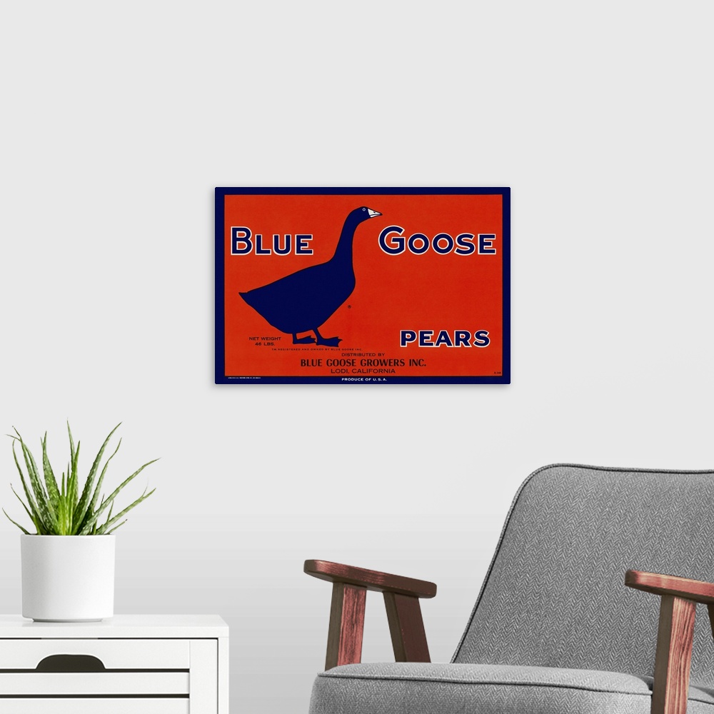 A modern room featuring Blue Goose Pears