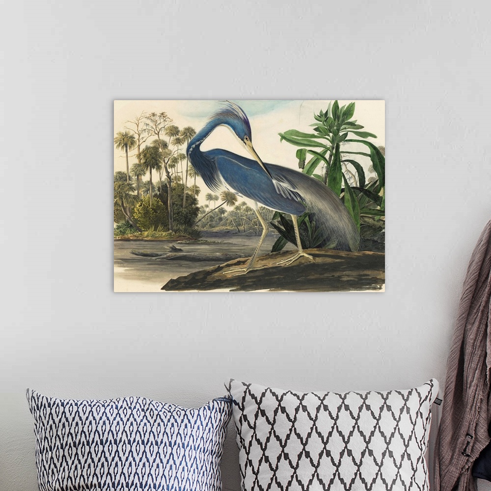 A bohemian room featuring Vintage scientific illustration of a bird.