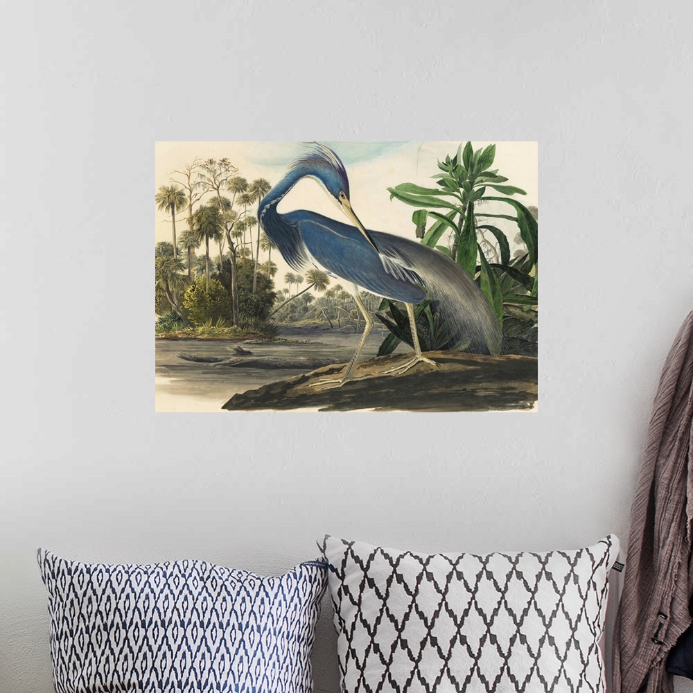 A bohemian room featuring Vintage scientific illustration of a bird.