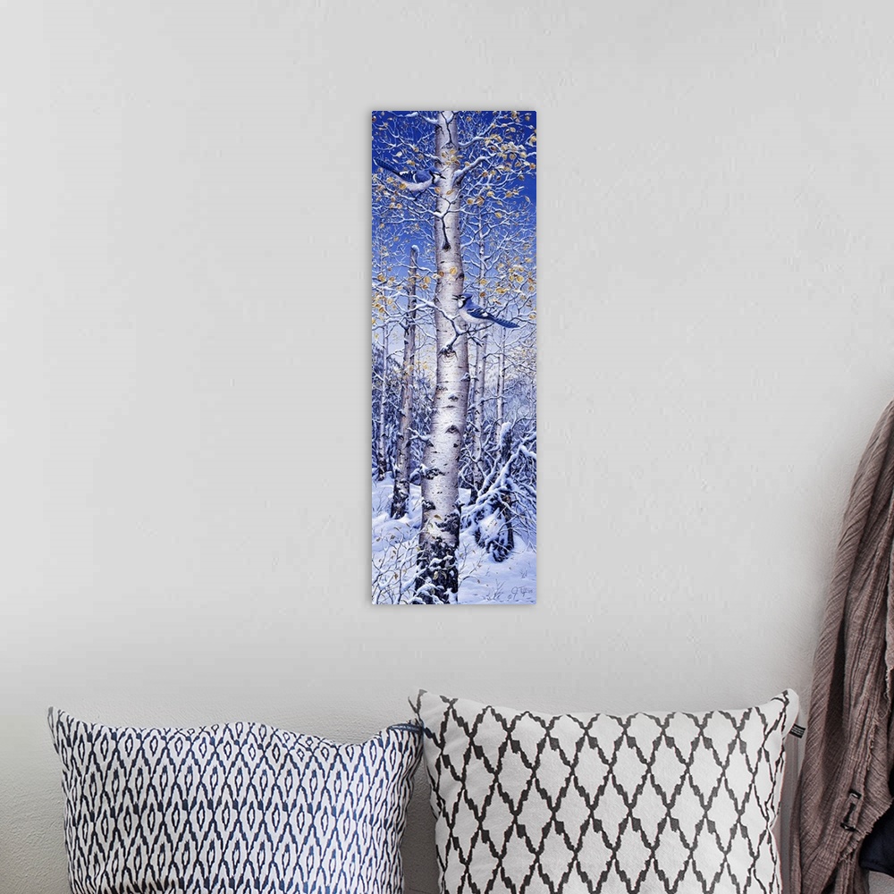 A bohemian room featuring A bluejay in a white birch tree, snow covering the ground.