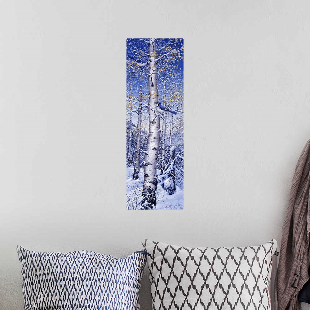 A bohemian room featuring A bluejay in a white birch tree, snow covering the ground.