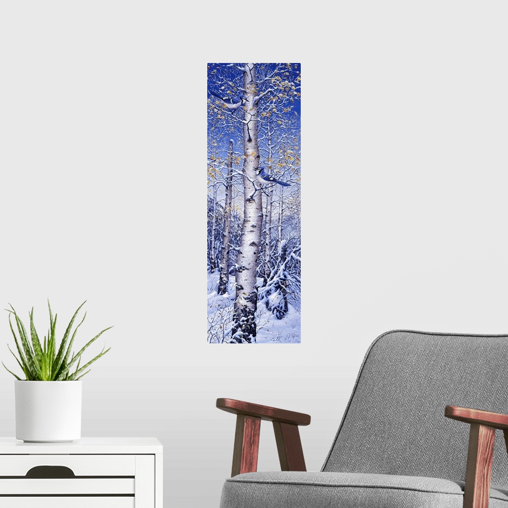 A modern room featuring A bluejay in a white birch tree, snow covering the ground.