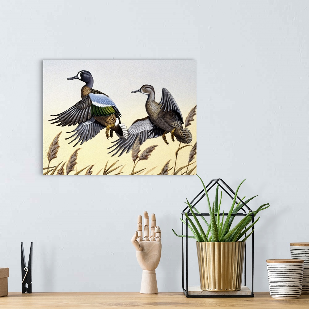 A bohemian room featuring Two ducks in flight.