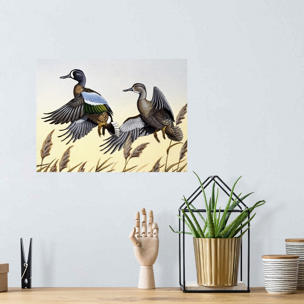 A bohemian room featuring Two ducks in flight.