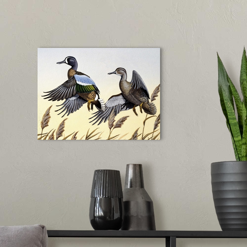 A modern room featuring Two ducks in flight.