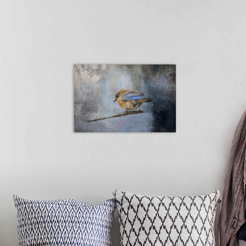A bohemian room featuring Bluebird In Winter