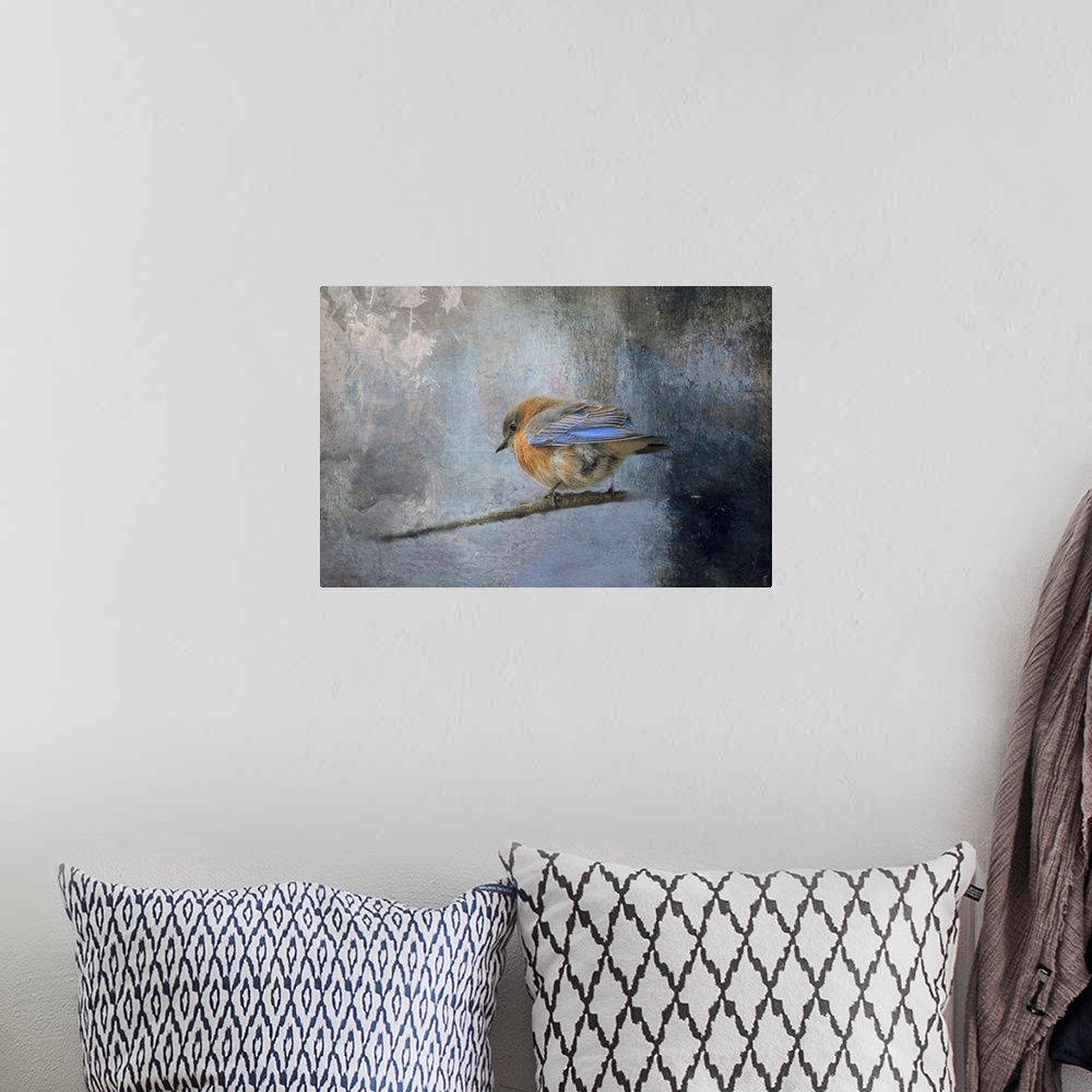 A bohemian room featuring Bluebird In Winter