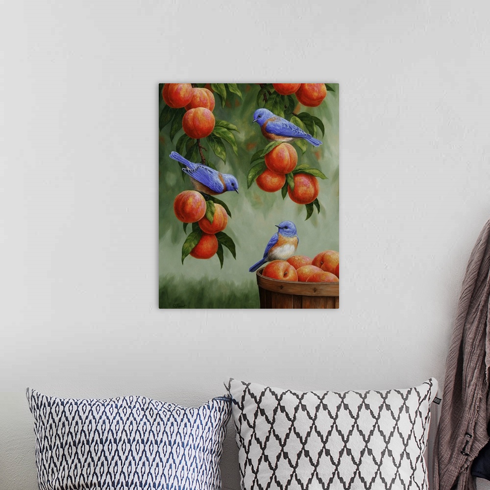 A bohemian room featuring Three bluebirds perched on peaches in a peach tree and basket.