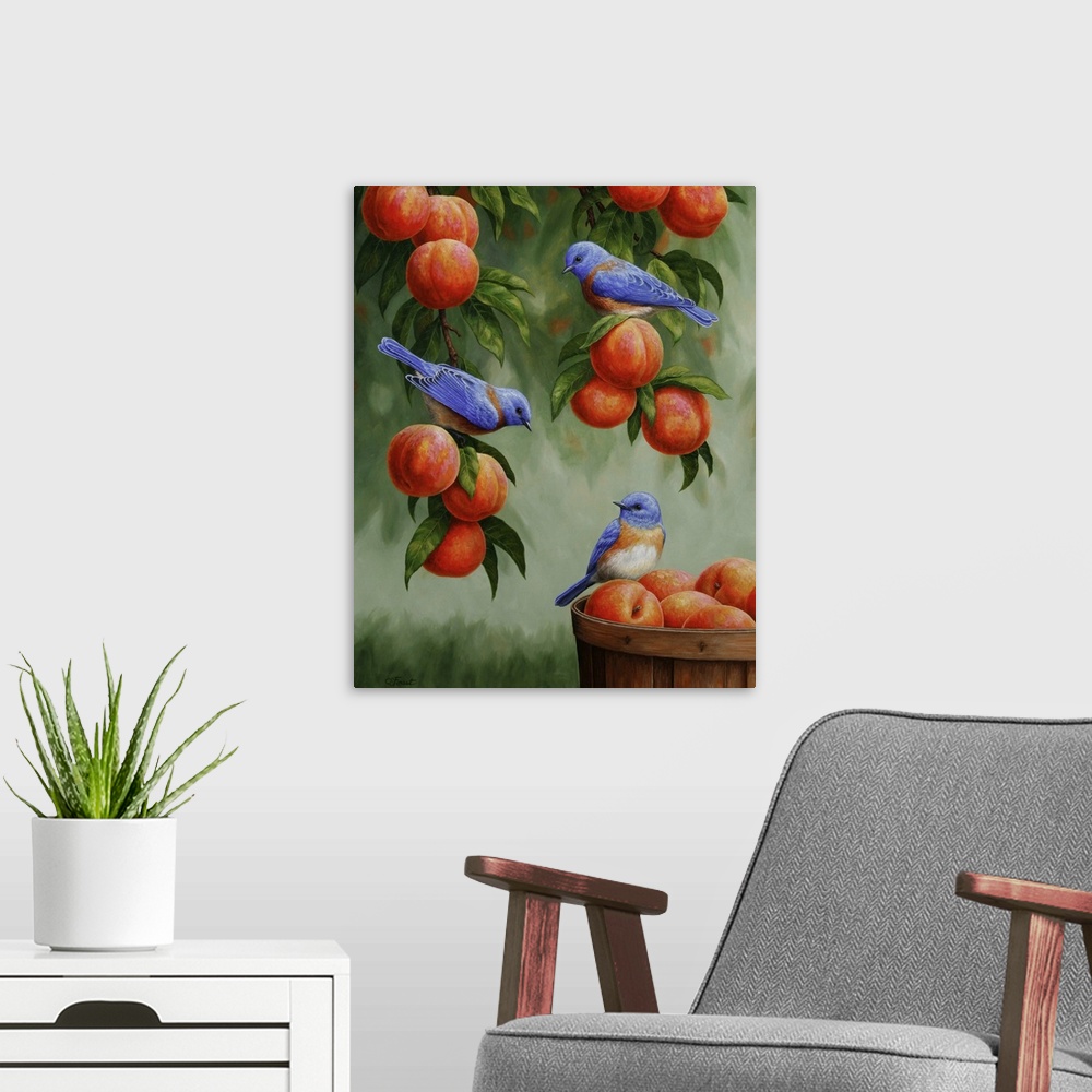 A modern room featuring Three bluebirds perched on peaches in a peach tree and basket.