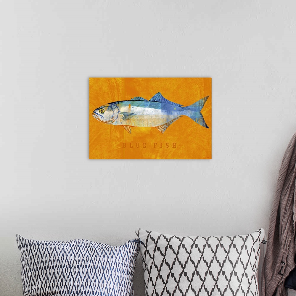 A bohemian room featuring Bluefish
