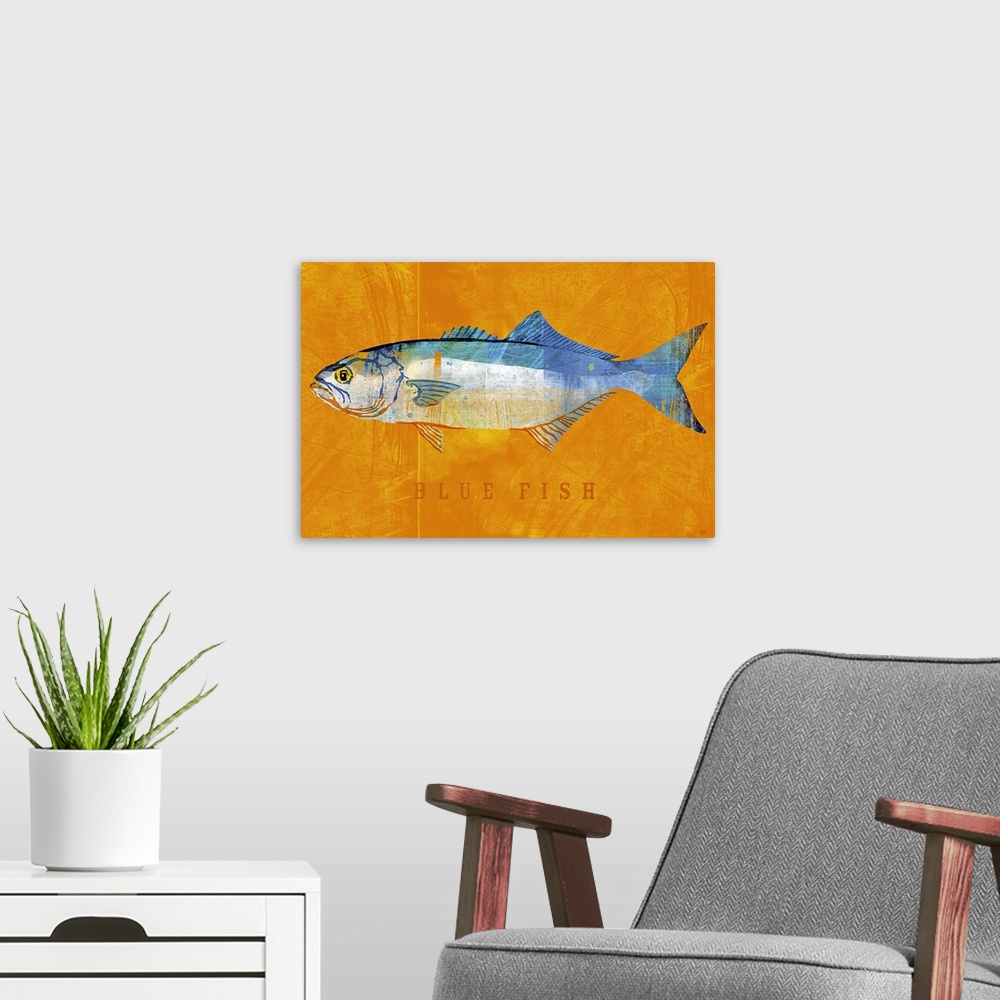 A modern room featuring Bluefish