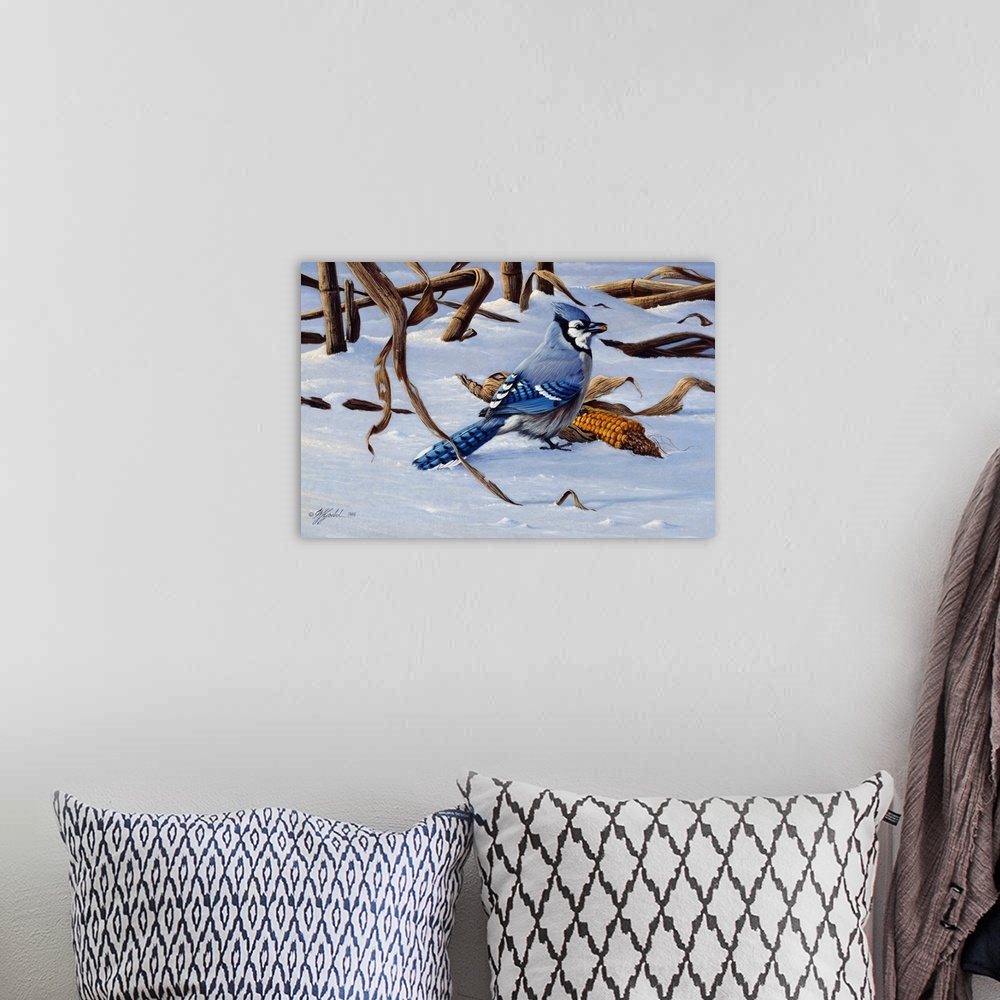 A bohemian room featuring Bluejay by an ear of corn in the snow.