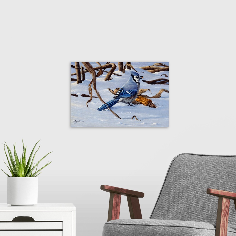 A modern room featuring Bluejay by an ear of corn in the snow.