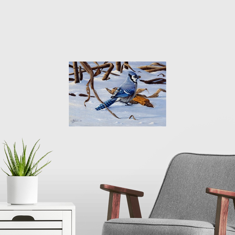 A modern room featuring Bluejay by an ear of corn in the snow.