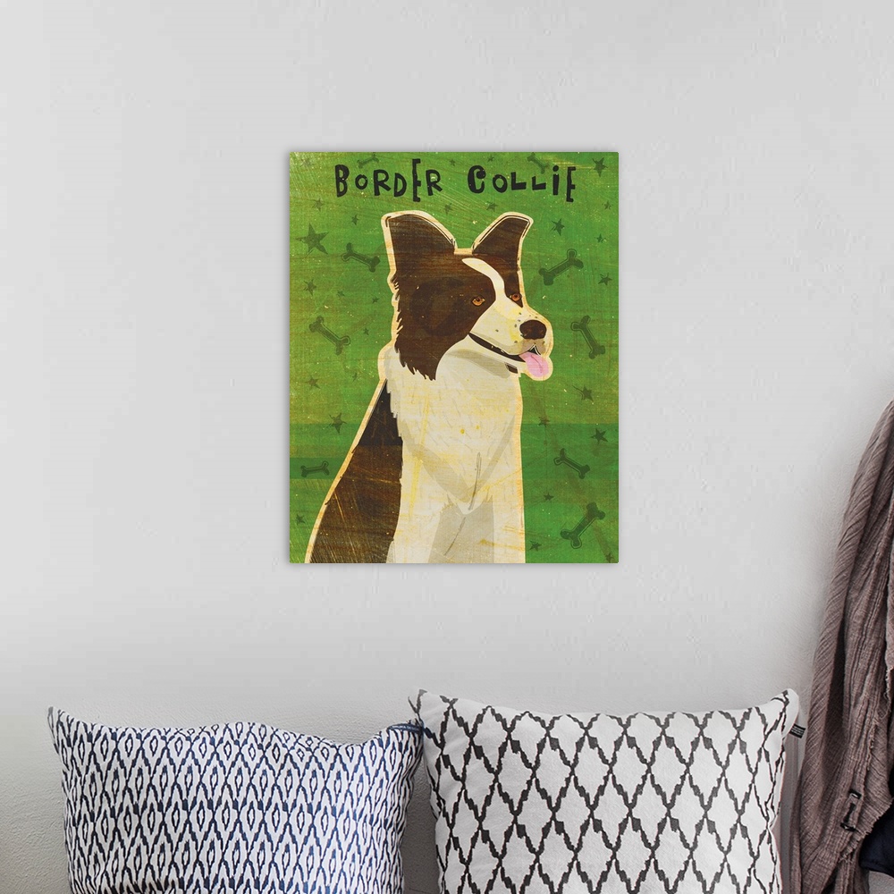 A bohemian room featuring Border Collie