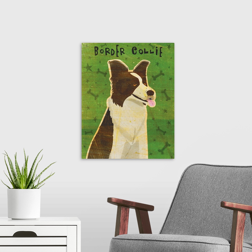 A modern room featuring Border Collie