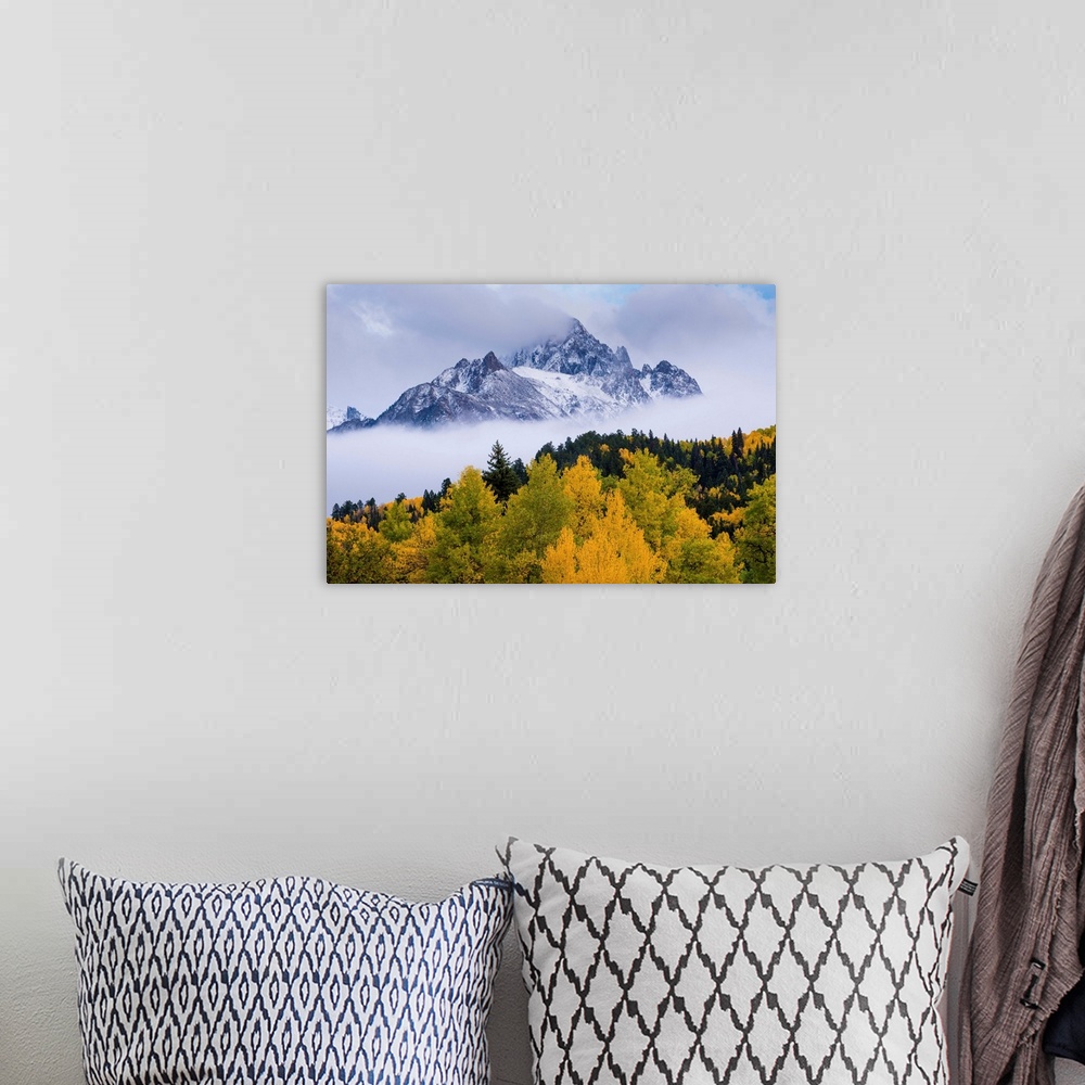 A bohemian room featuring mountains, trees, mist, color photograph