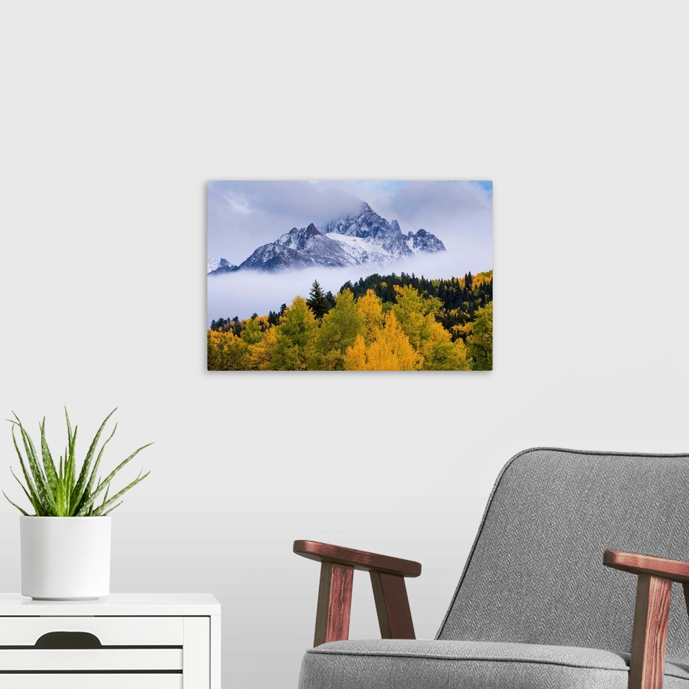 A modern room featuring mountains, trees, mist, color photograph