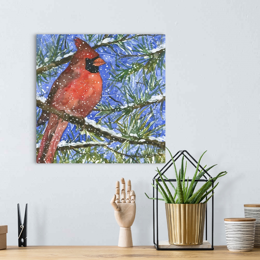 A bohemian room featuring Male cardinal in a pine tree.