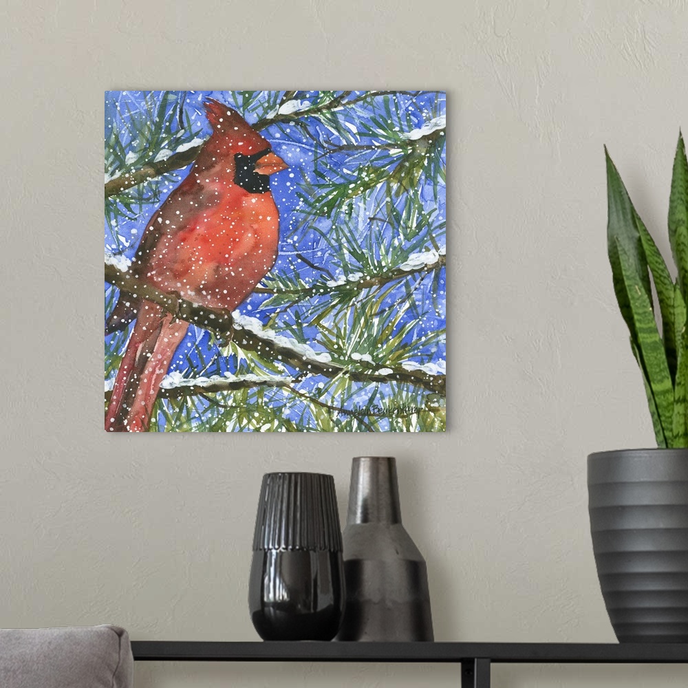 A modern room featuring Male cardinal in a pine tree.