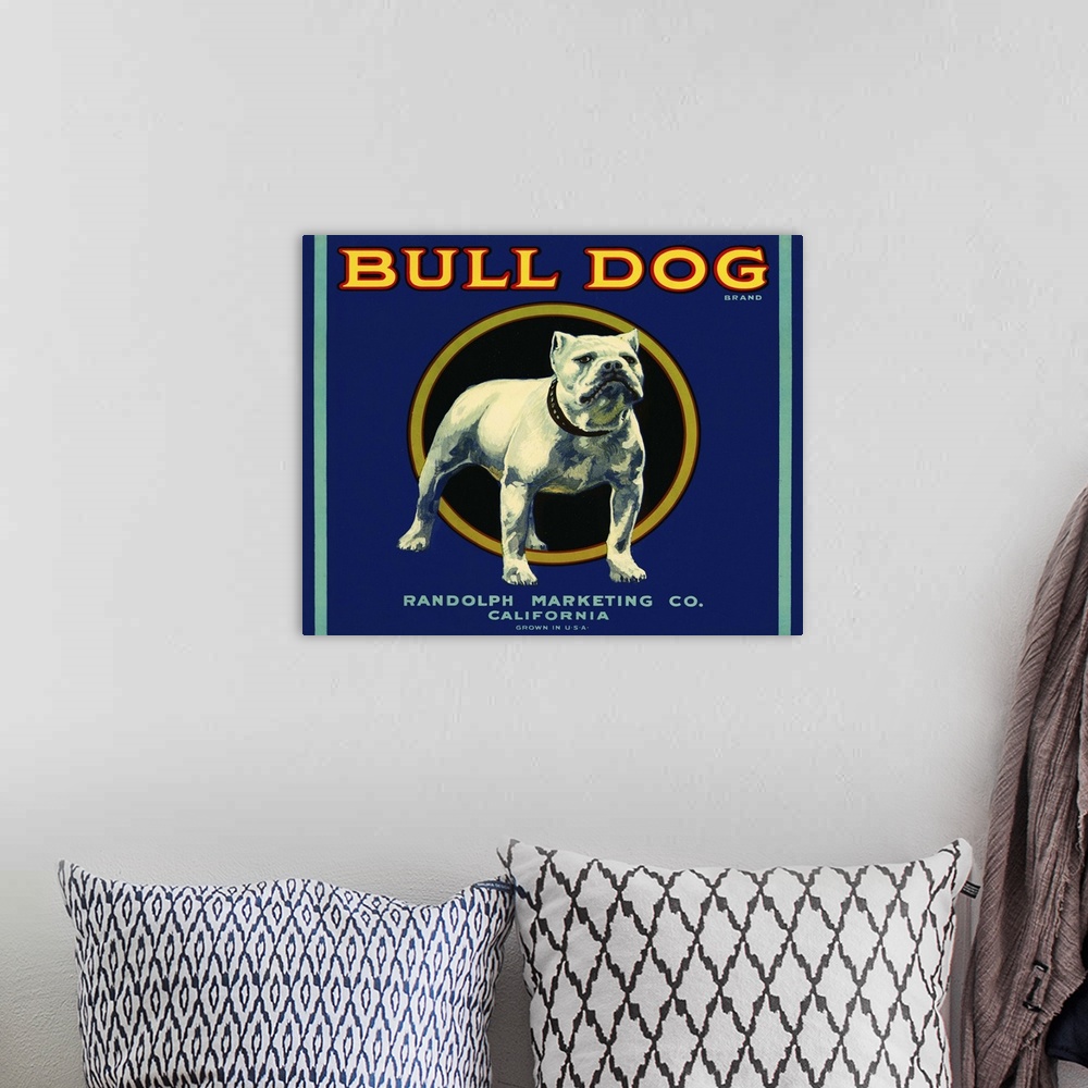 A bohemian room featuring Bull Dog Brand