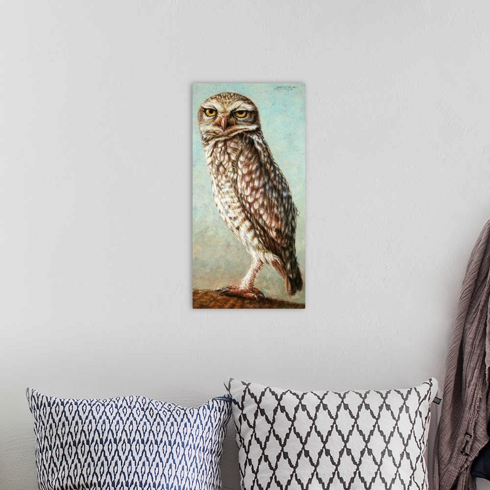 A bohemian room featuring Burrowing Owl