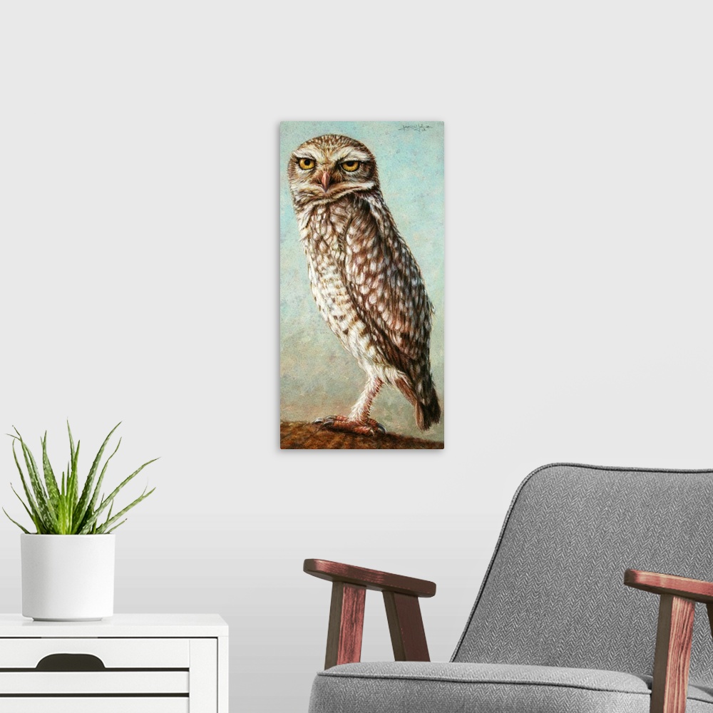 A modern room featuring Burrowing Owl