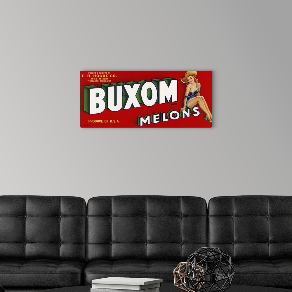 A modern room featuring Buxom Melons