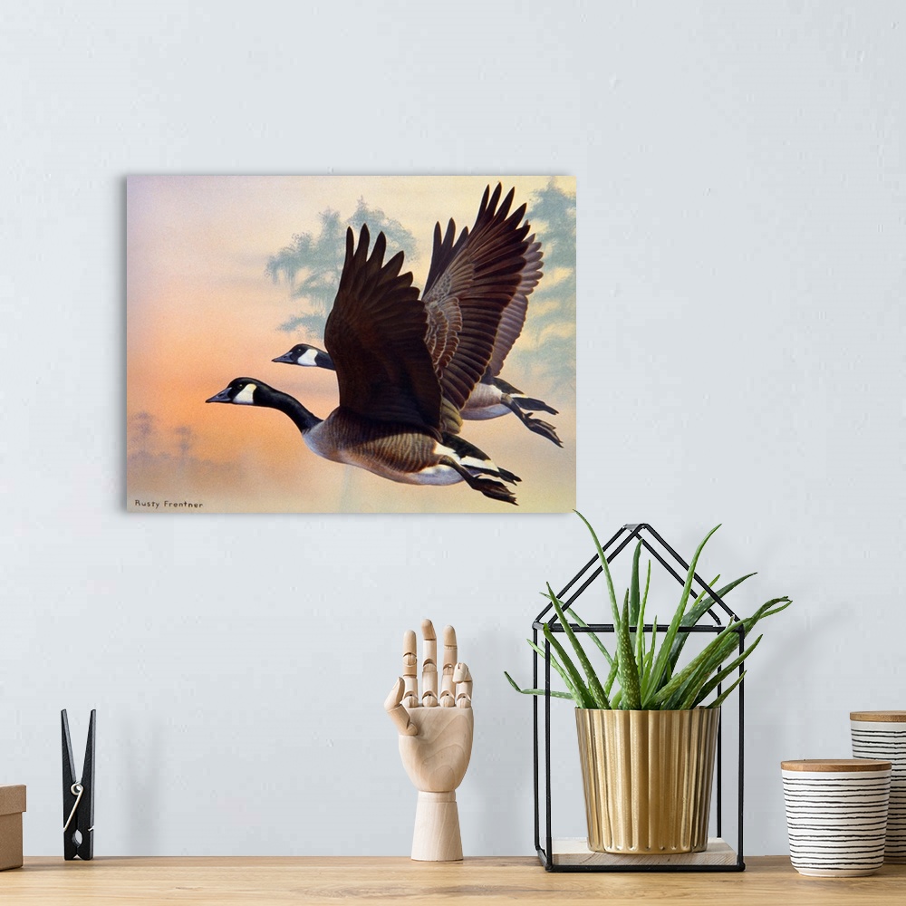 A bohemian room featuring Two canada geese flying at sunset, or sunrise.